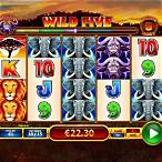 wild five slot